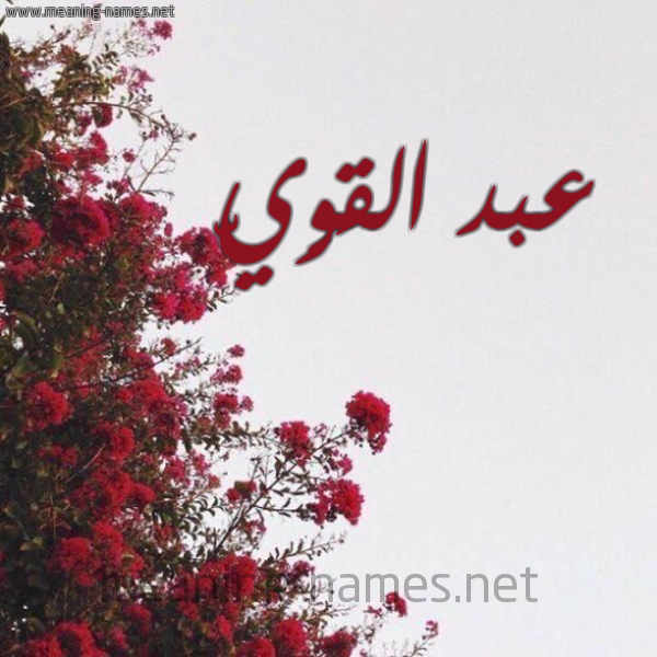 شكل 18 صوره الورد الأحمر للإسم بخط رقعة صورة اسم عبد القَوِيّ ABD-ALQAOEI